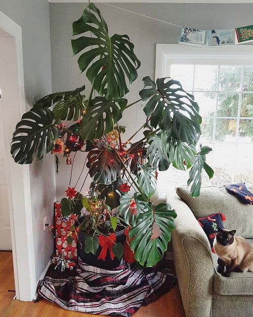 Christmas Decor Ideas with Monstera 24