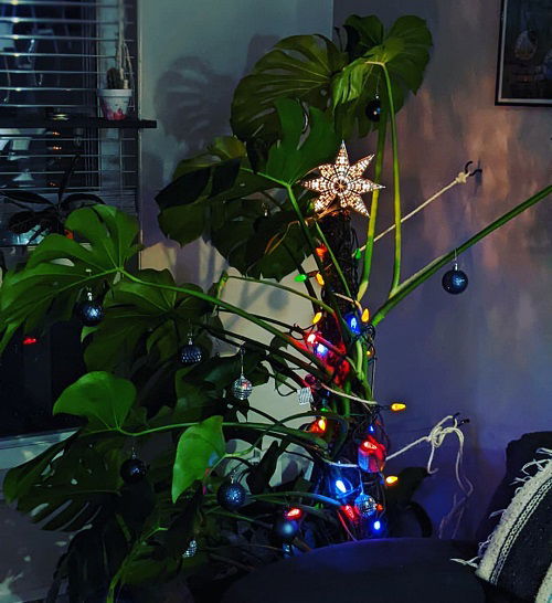 Christmas Decor Ideas with Monstera 20