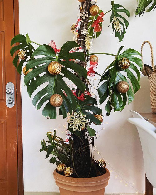 Christmas Decor Ideas with Monstera 11