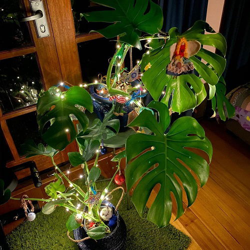 Christmas Decor Ideas with Monstera 14