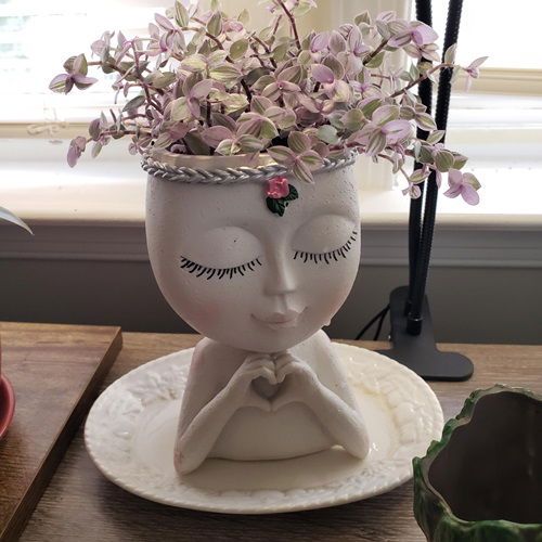  Look Beautiful in Head Planters