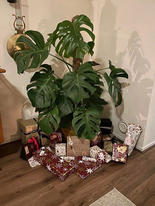 Christmas Decor Ideas with Monstera 16