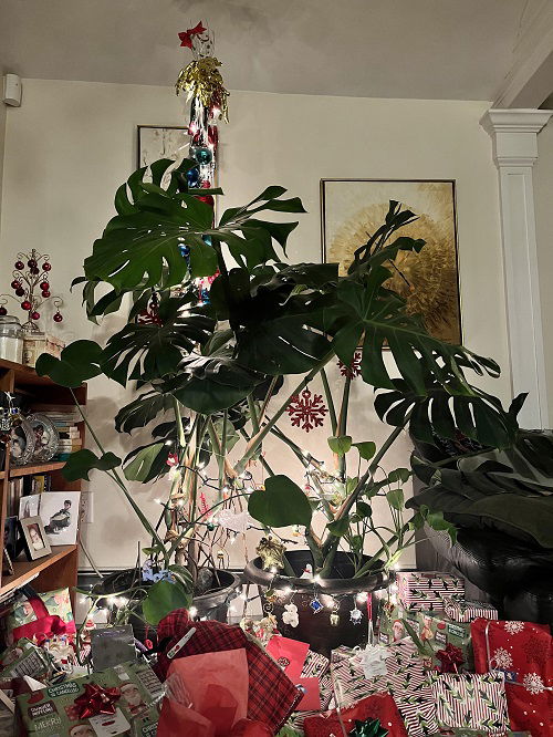 Christmas Decor Ideas with Monstera5