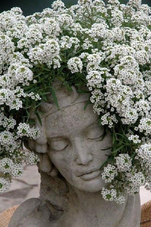 Plants that Look Beautiful in Head Planters