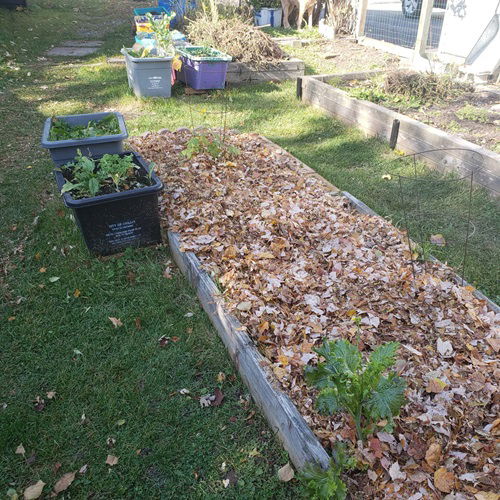 A Natural Mulch