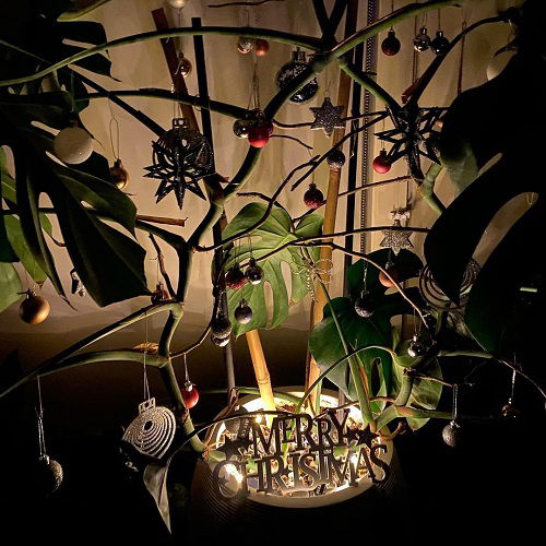 Christmas Decor Ideas with Monstera 10