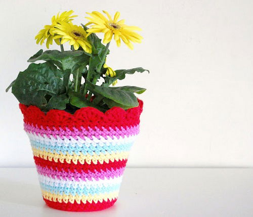 Knitted Multicolor Pot Cover