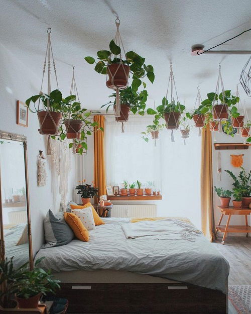 Hanging Plant Display Ideas 10