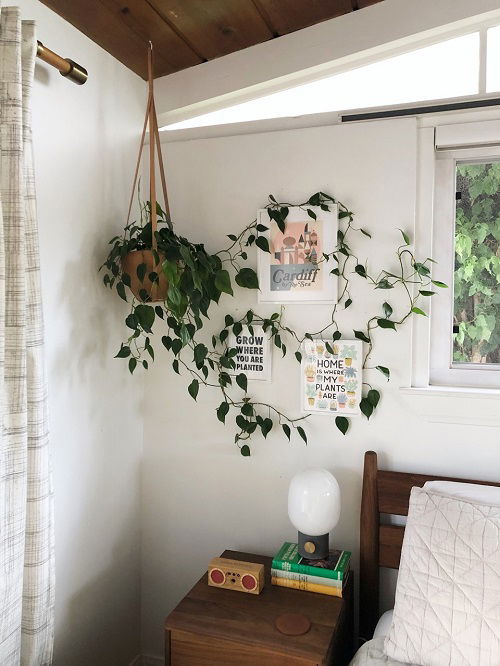 Hanging Plant Display Ideas 13