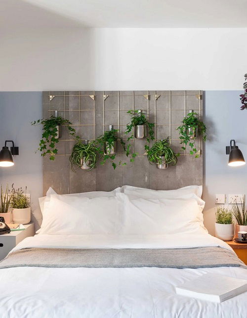 Hanging Plant Display Ideas 16