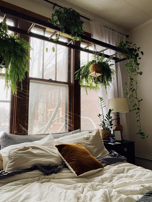 Hanging Plant Display Ideas 20