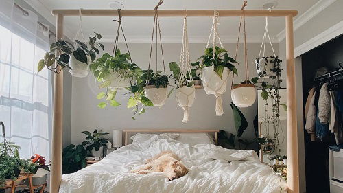 Hanging Plant Display Ideas 23