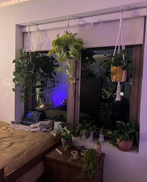 Hanging Plant Display Ideas 4