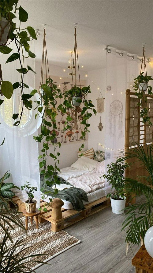 Hanging Plant Display Ideas 7