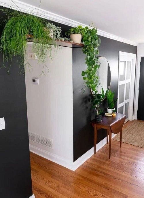 Plants Over The Door Ideas 1