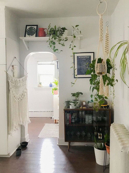 Plants Over The Door Ideas 3