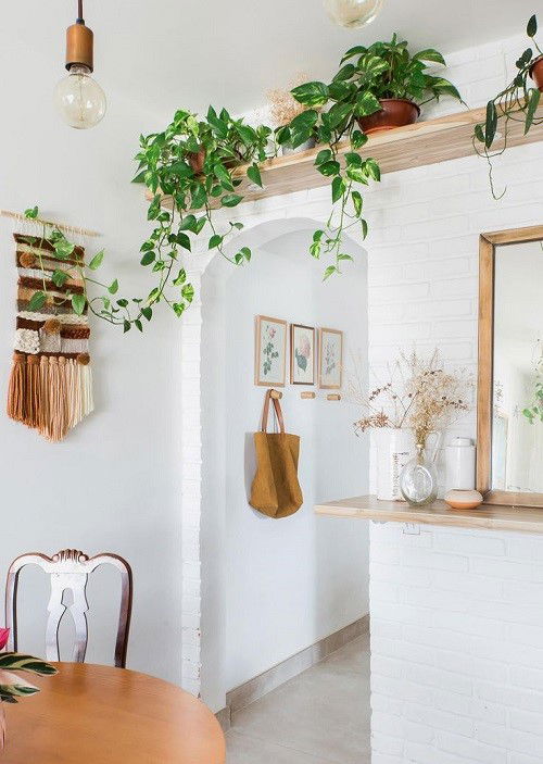 Plants Over The Door Ideas 11