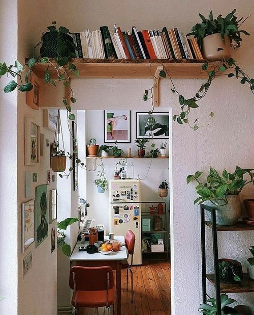 Plants Over The Door Ideas 15