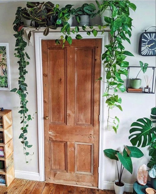 Plants Over The Door Ideas 2