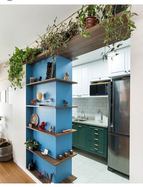 Plants Over The Door Ideas 5