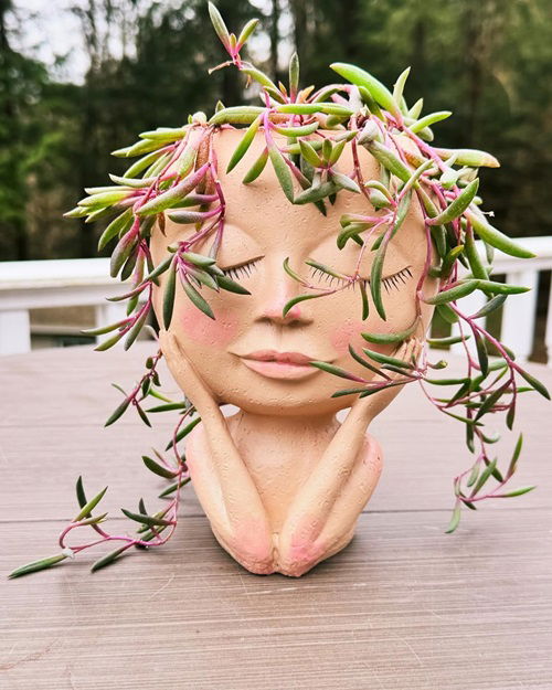 Plants that Look Beautiful in Head Planters