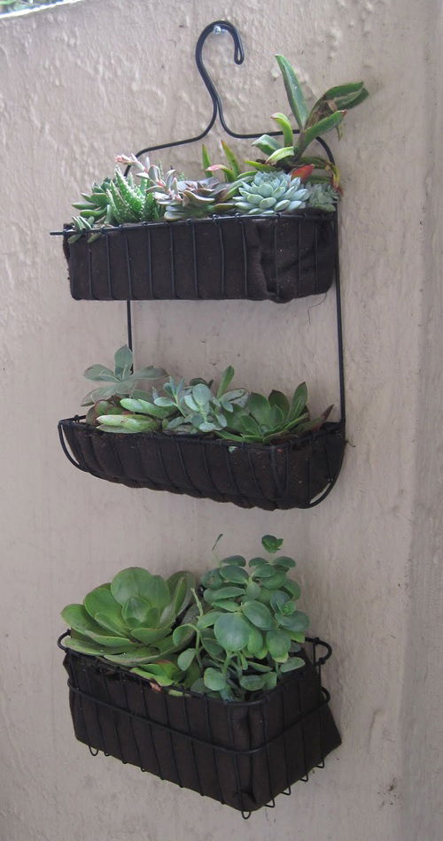 DIY Plants Shower Caddy Ideas 8