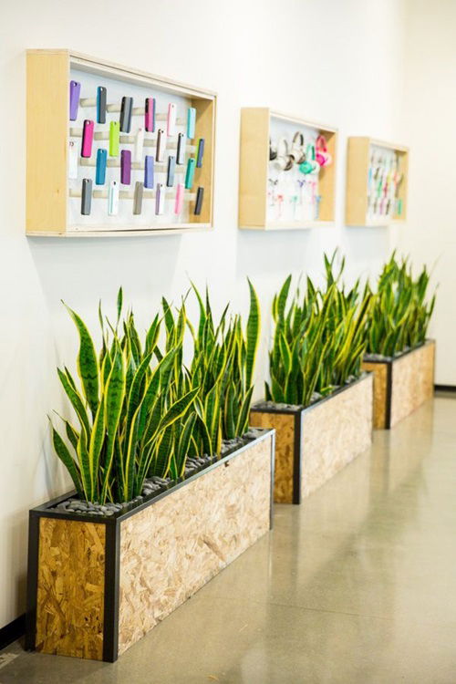 Box Planters in the Living Room