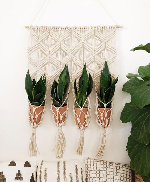 In Macrame Hanging Planters