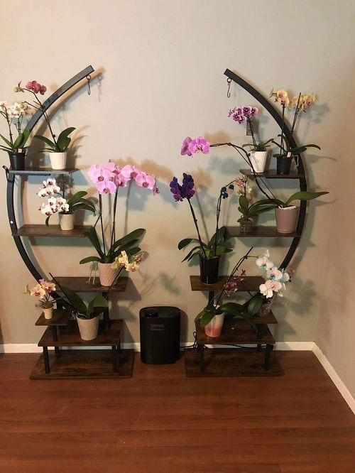 Orchid shelf ideas 10