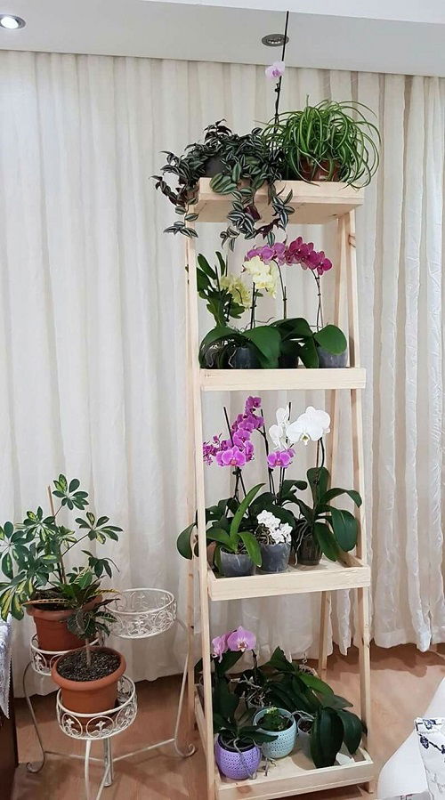 best Orchid shelf ideas 11