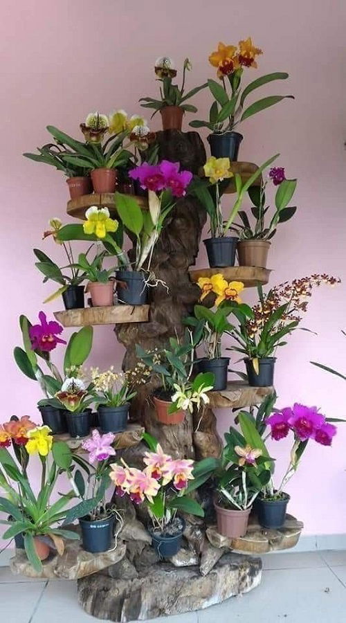 Orchid shelf ideas 7