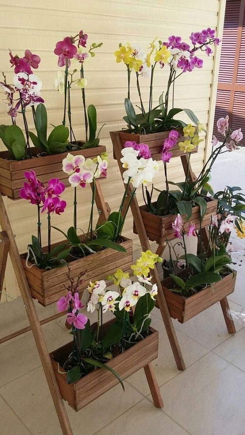 Orchid shelf ideas 8