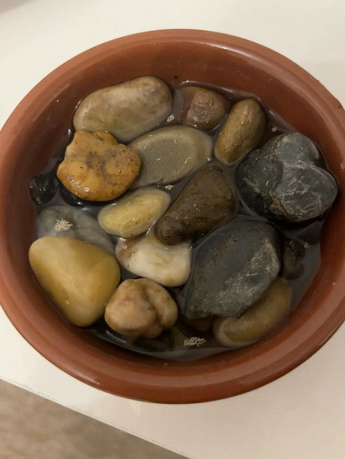 Pebble Trays