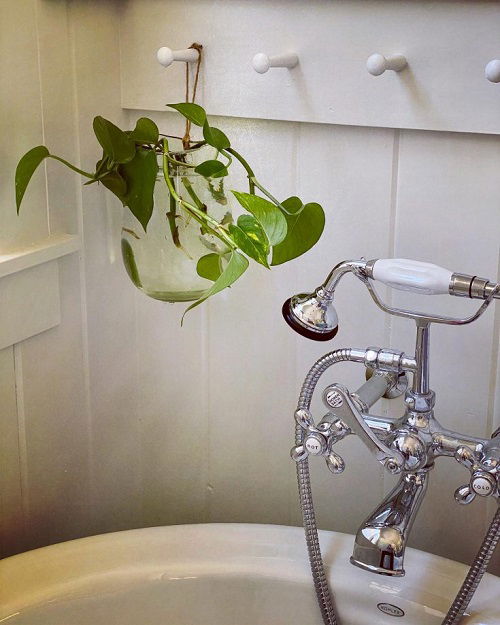 Plants in water in bathroom ideas 2