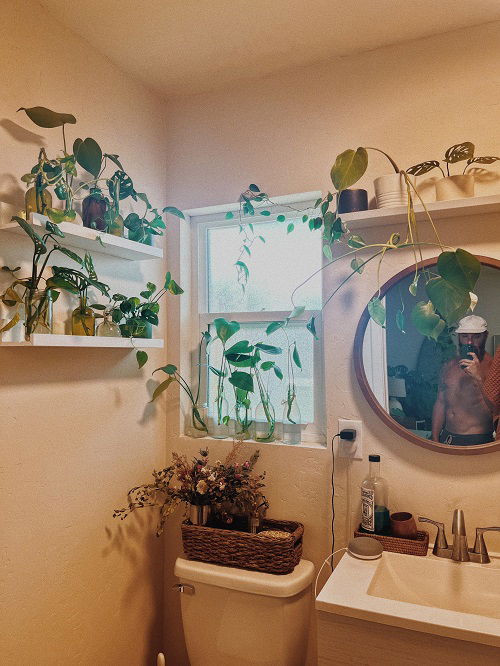 Plants in water in bathroom ideas 1