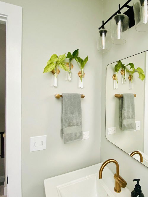 Plants in water in bathroom ideas 4