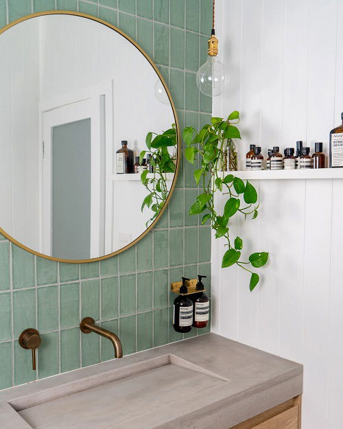 Best Plants in water in bathroom ideas 2