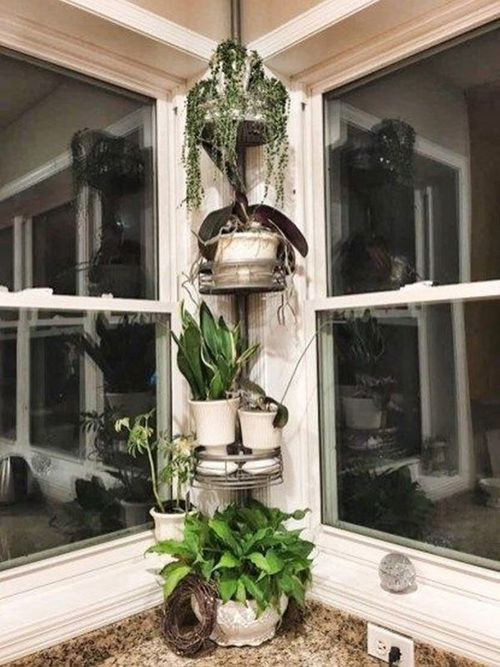 DIY Plants Shower Caddy Ideas 7