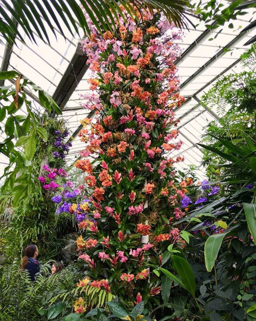 Orchid Tower Ideas 4