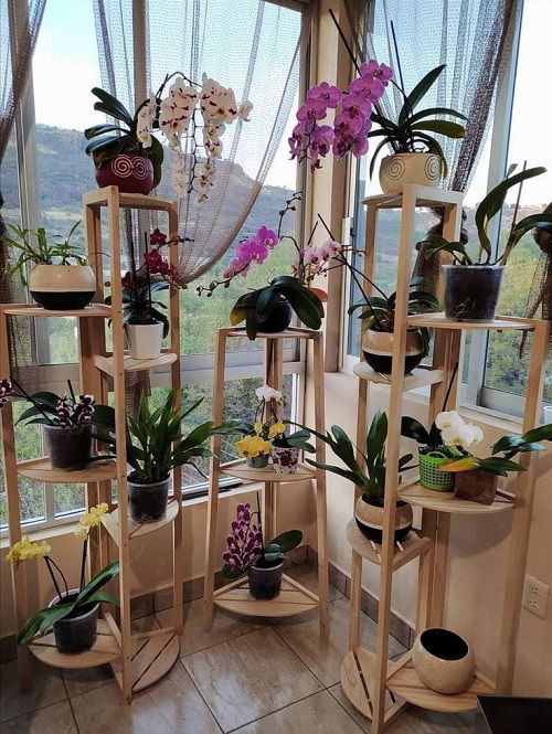 Stunning Orchid Tower in garden 3