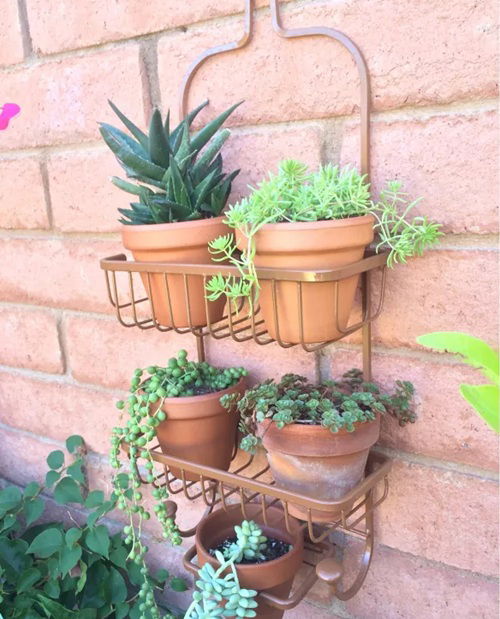 DIY Plants Shower Caddy Ideas 6