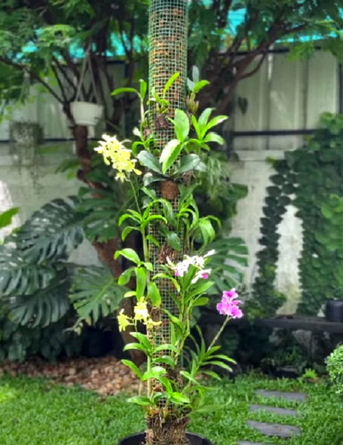 DIY Orchid Tower