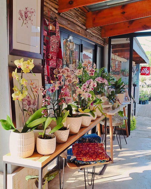 Countertop Jungle of Orchids