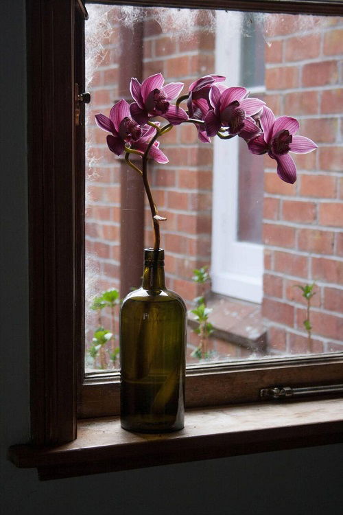 Orchids indoor Arrangements ideas 5