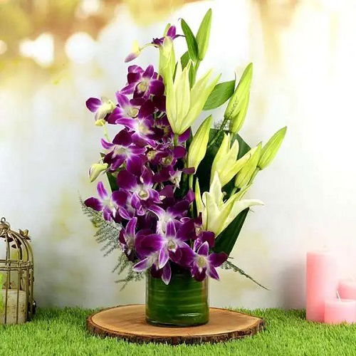 Orchid Display Ideas in home